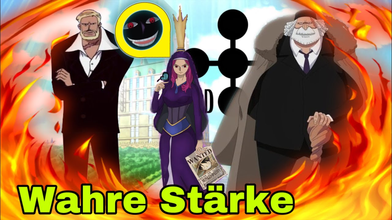 DIE ROLLE DER 5 WEISEN IN ONE PIECE🤯 WIE STARK