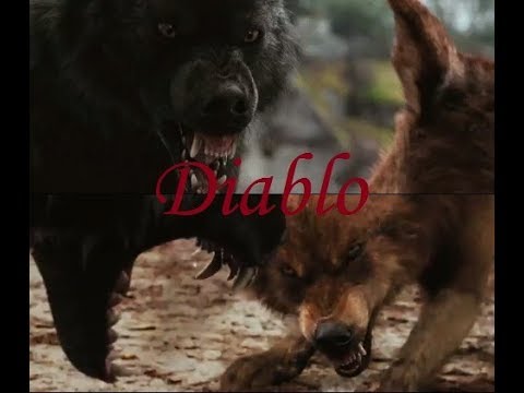 Twilight Wolves - Diablo