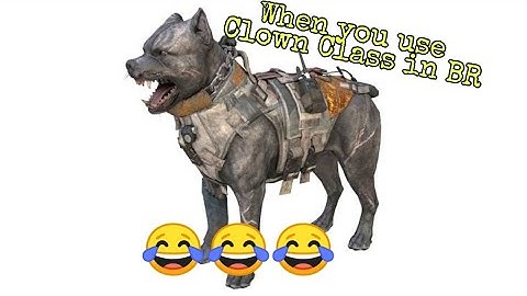 When you use Clown Class in BR😂😂 #shorts