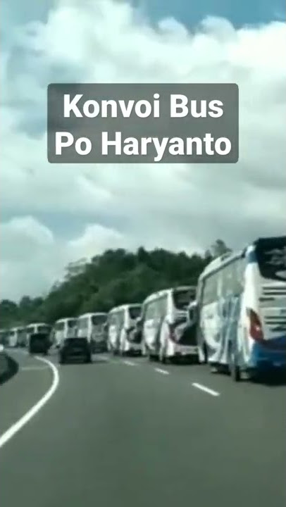 Story WA | Konvoi Bus Po Haryanto #busmania #shorts