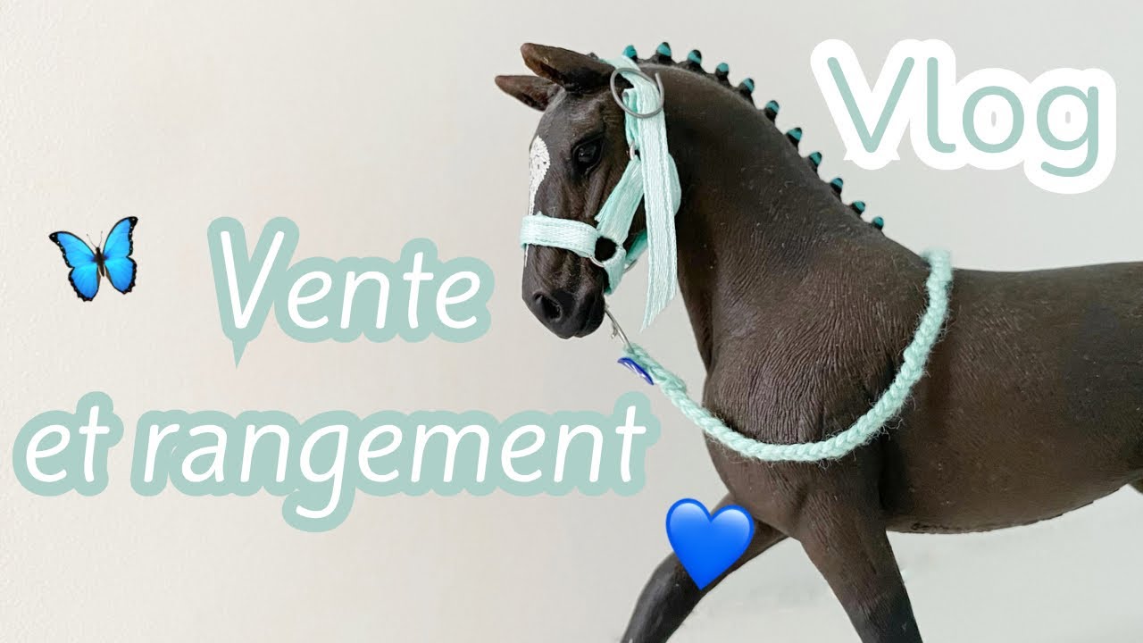 Vlog - rangement, tri et vente