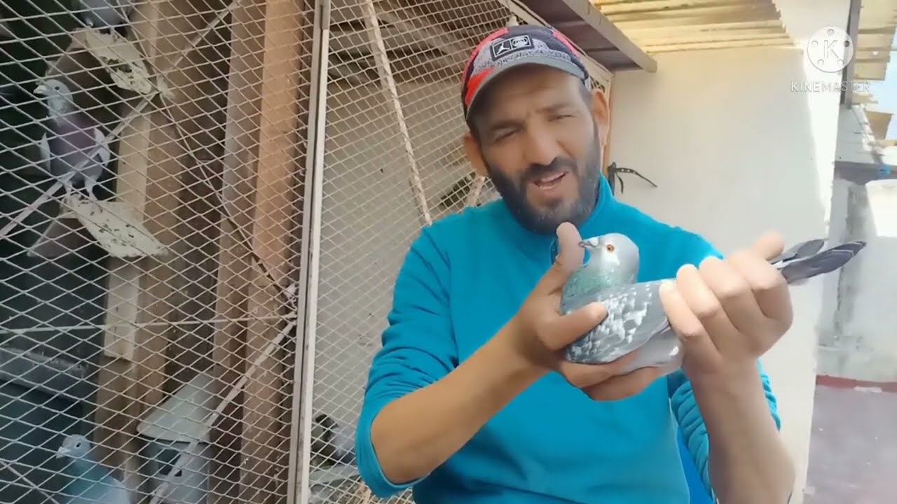 سباق بوكراع الوطني فوق 1000 كيلومتر،البطل عبدالرزاق المتوج بالمركز الثالث والرابع بعصبة فاس مكناس.