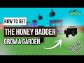 SECRET PET UNLOCK?! - How to Get Honey Badger Pet Grow a Garden Roblox Bizzy Bee Update