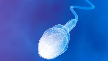 Planet Colonisation: How to Avoid Genetic Bottlenecks - Professor Steve Jones