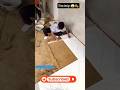 6 TIPS For Laying Floor Tile With No Experience | How to Install Ceramic Tile Like a Pro #shortvideo