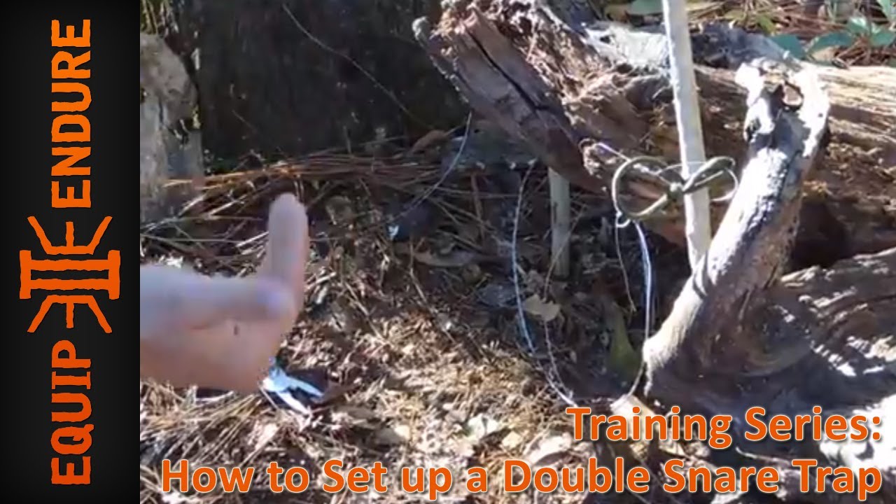 The Double Spring Snare Trap. 