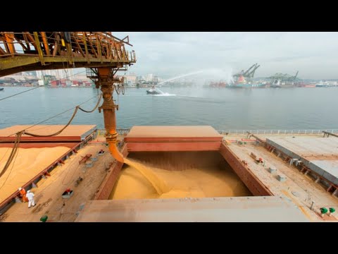 ❌ИЗ ПОРТОВ УКРАИНЫ ВЫВОЗЯТ ЗЕРНО #украина #зерно #спецоперация #пшеница  #кризис #турция #порт