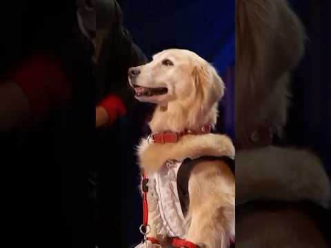 Dog Dances Better Than Her Owner! 🐶 #shorts