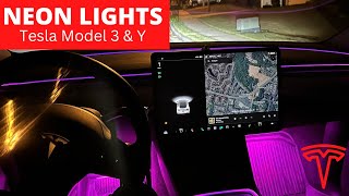 Tesla Model 3 & Y  Nestour Neon Light Kit (Install and Review)