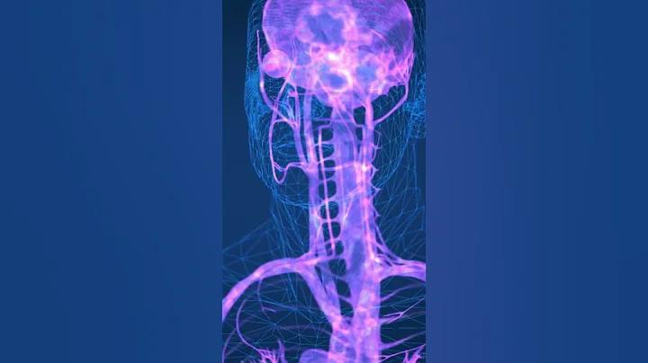 Adrenal Fatigue: Unseen Cause of Fibromyalgia | Dr. Andrew Neville Adrenal Fatigue Specialist