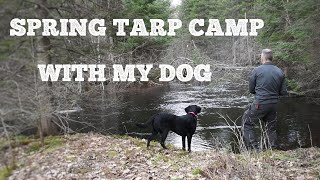 Spring tarp camping in the Upper Peninsula with my dog