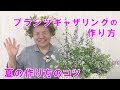 夏のギャザリング作り方のコツ爽やかなブルーの花で寄せ植えギャザリング【プランツギャザリングの作り方】36分31秒／花創人ガーデニング教室