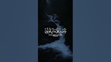 أكتب شي تؤجر عليه ♡✨️ ｜ القارئ حمزة بوديب ｜ قرآن كريم