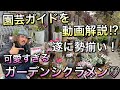 【寄せ植え】園芸ガイドを動画で⁉可愛すぎる！たけいち農園のガーデンシクラメン特集