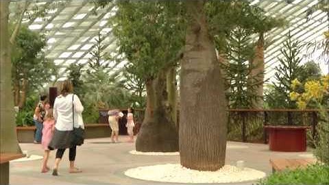 The Garden Gurus - Gardens by the Bay Competition Winner