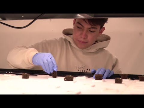 Bruce Randolph School gives back to community with Denver's first school-run hydroponic farm