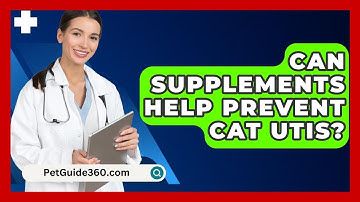 Can Supplements Help Prevent Cat UTIs? - PetGuide360.com