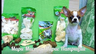 ЗУБНОЙ КАМЕНЬ У СОБАК , СМЕНА ЗУБОВ У ЧИХУА #ПРОДАЮЩЕНКОВЧИХУА#( ПИТОМНИК "МАРИ МИСТИК" ) ЗУБНОЙ КАМЕНЬ У СОБАК , СМЕНА ЗУБОВ У ЧИХУА #ПРОДАЮЩЕНКОВЧИХУА#( ПИТОМНИК "МАРИ МИСТИК" )