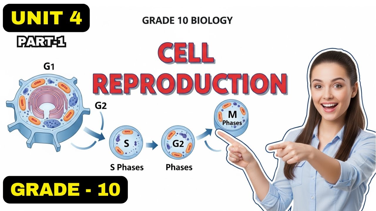 GRADE 10 BIOLOGY |UNIT 4| PART 1| CELL CYCLE EXPLAINED 🔬 | INTERPHASE, CELL DIVISION, CANCER CELLS