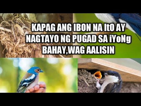 Video: Ano ang mangyayari kung makakakuha ka ng splinter sa iyong daliri?