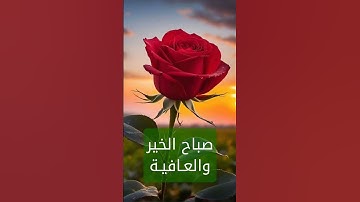 أصبحنا وأصبح الملك لله #دعاء_الصباح #دعاء #اذكار_الصباح #صباح_الخير#اكسبلور