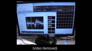 Primate Training Course: Research with the Matrix Array Profile