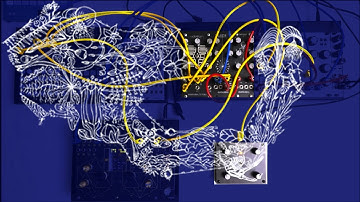 TEST SERIES Reverselandfill CreepCluster Veratrum Noise V8 Monotropa Eurorack Reverse Landfill