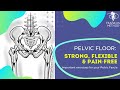 Pelvic Floor: Strong, Flexible & Pain-Free | Important exercises for your Pelvic Fascia