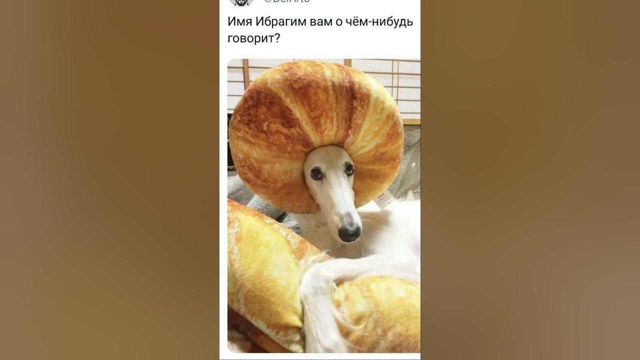ИМЯ ИБРАГИМ ВАМ О ЧЕМ-НИБУДЬ ГОВОРИТ?... | РЖАКА | #анекдот #прикол # ...