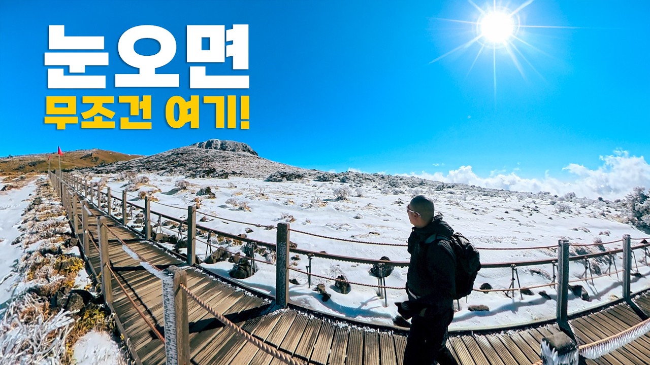 제주에 눈 내리면 무조건 여기! 한라산 영실코스