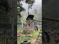Rescued Moon bear levels up his climbing skills | Animals Asia #animals #moonbear #sanctuary #bear