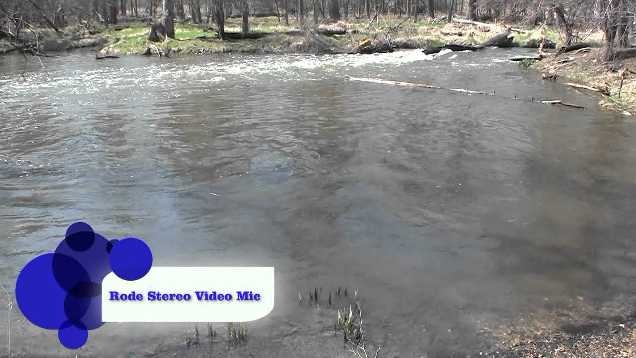 Rode Video Mic vs Rode SVM