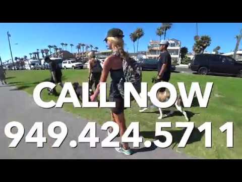 JULY 1ST EPIC PACK WALK EVENT AT THE HUNTINGTON DOG BEACH 2018 dog trainer in delhi