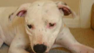 Blizzard Dakota Rescue