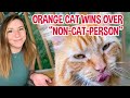 Orange cat chooses man who claims to be not a cat person  now theyre best friends