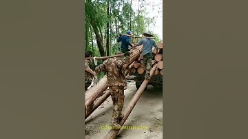 Ingenious Construction Workers That Are At Another Level ▶ 4 | #amazingskill #sanamuniverse