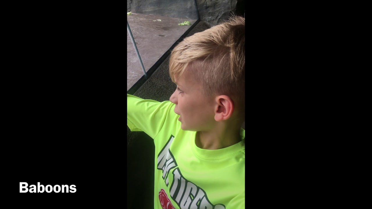 Houston Zoo - In Depth Review