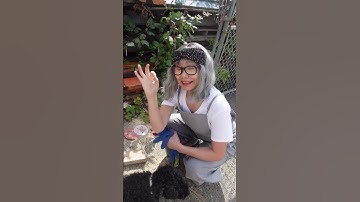 Can This Grandma Build Something Awesome With Trash?