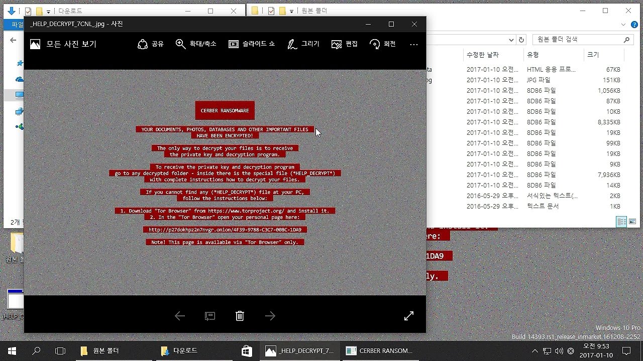 AppCheck 안티랜섬웨어 : Cerber 랜섬웨어(_HELP_DECRYPT_[Random]_.hta/jpg) 차단 영상