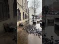 Hayırlı cumalar