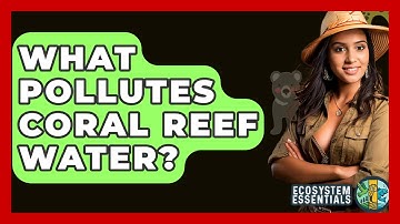 What Pollutes Coral Reef Water? - Ecosystem Essentials