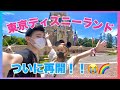 【TDR】再開したディズニーを徹底調査してきたら凄すぎて感動…【ゆたせな】