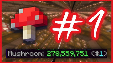 I´m the #1 MUSHROOM FARMER on HYPIXEL SKYBLOCK