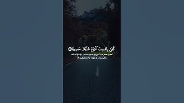 #ياسر_الدوسري #سورة_الإسراء وَكُلَّ إِنسَٰنٍ أَلۡزَمۡنَٰهُ طَٰٓئِرَهُۥ فِي عُنُقِهِۦۖ