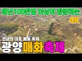 4k 매년 100만명 이상이 방문하는 전남의 대표 봄꽃 광양매화축제 드론 영상 | 당일치기 여행