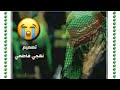 قصيده حزينه انت ميت لو عدل حاجيني فاضل الكناني كورال يوسف الصبيحاوي 2018 قصيده حزينه انت ميت لو عدل حاجيني فاضل الكناني كورال يوسف الصبيحاوي 2018