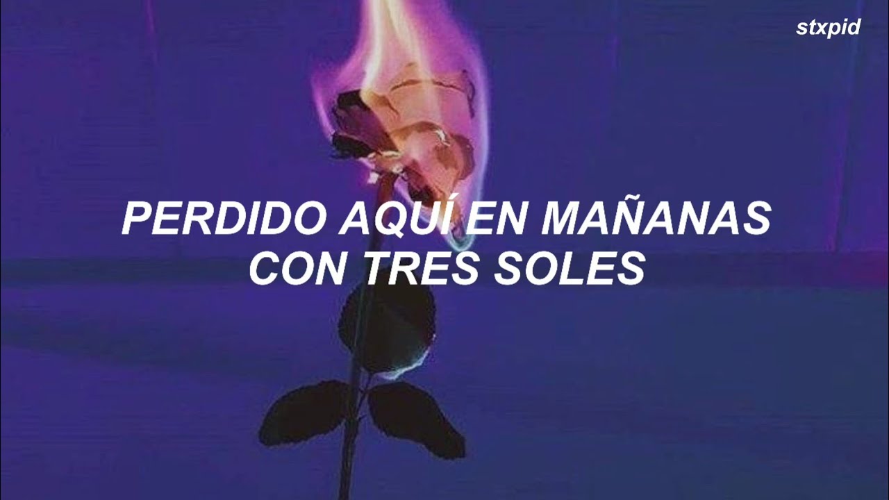 Zoé - love // Letra - YouTube