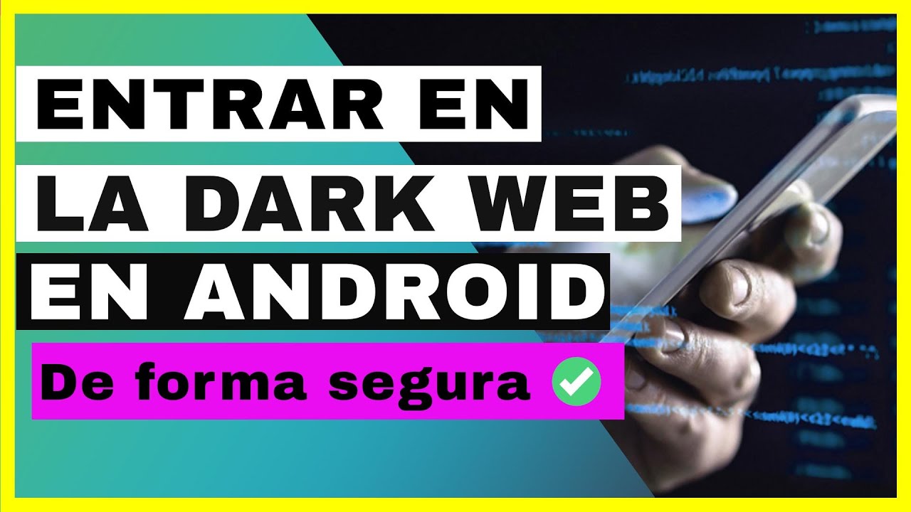 Cómo Acceder de Forma Segura a la Dark Web en 15 Pasos