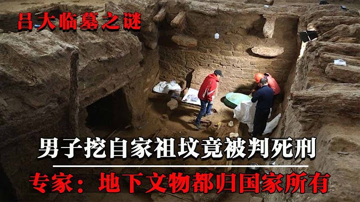 男子挖自家祖墳被判死刑，祖宗還是考古界鼻祖，專家：不肖子孫呀！【墓史迷蹤】 - 天天要聞