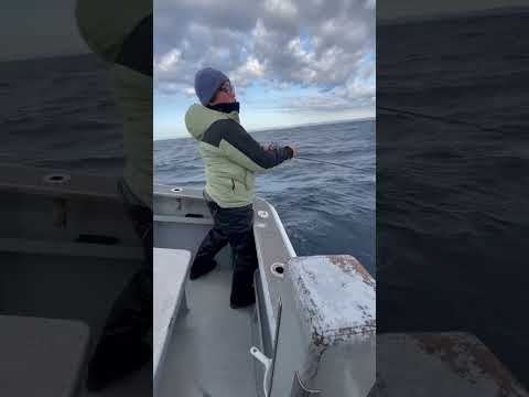 【トンジギ‼️】海虎船長VS巨大マグロ⁉️笑 #釣り #三重 #鳥羽 #トンボジギング #トンジギ